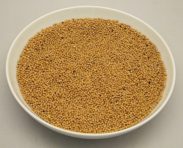 Senfkörner braun Gerli Gewürze 110 g