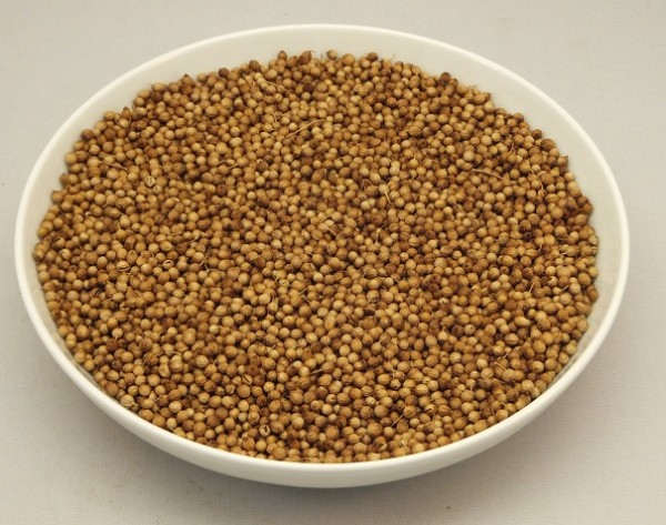 Koriander ganz Gerli Gewürze 80 g